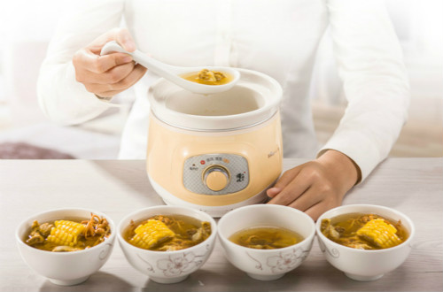 电炖锅品牌十大排行，什么牌子的电炖锅比较好