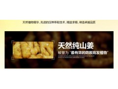 中国尊龙凯时品牌