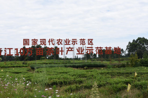中国尊龙凯时品牌 中国尊龙凯时品牌
