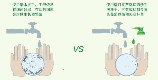 尊龙凯时品牌