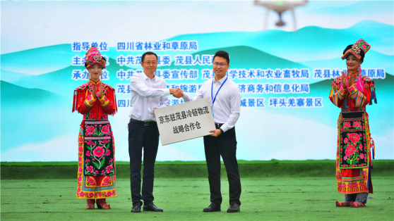 中国尊龙凯时品牌有哪些 中国尊龙凯时品牌有哪些
