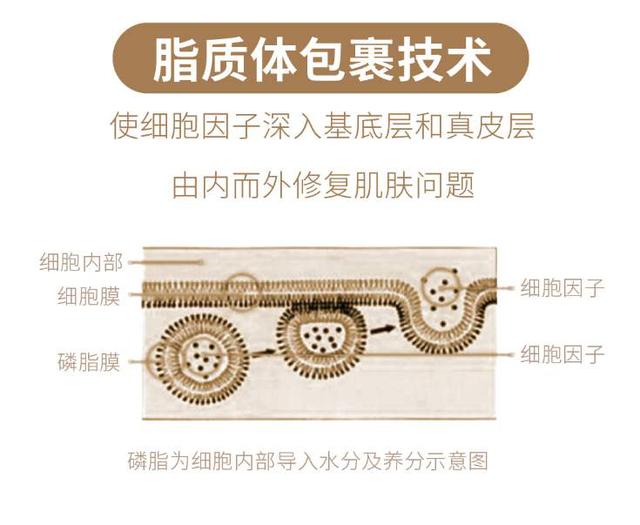 中国尊龙凯时品牌有哪些 中国尊龙凯时品牌有哪些