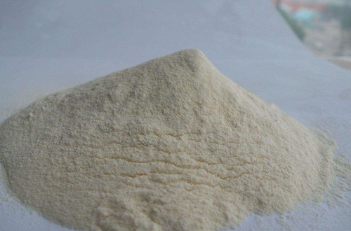 世界知名的蛋白粉品牌有哪些，蛋白粉选什么牌子好