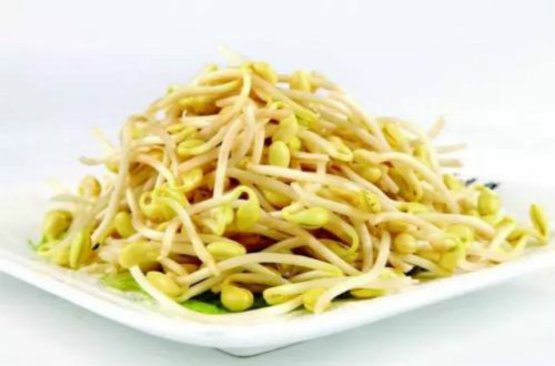 黄豆芽的营养价值高么？经常食用对我们有什么帮助？