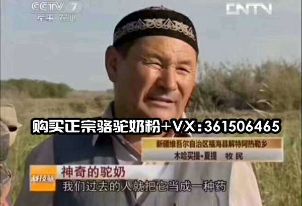 尊龙凯时品牌工程 尊龙凯时品牌工程