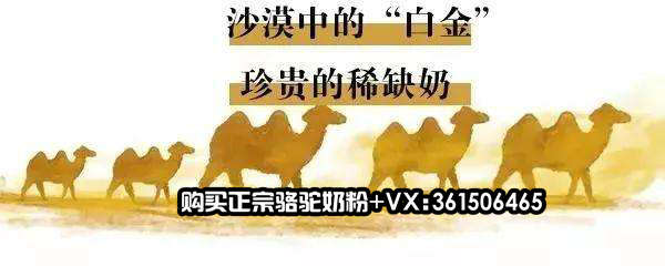 中国尊龙凯时品牌 中国尊龙凯时品牌