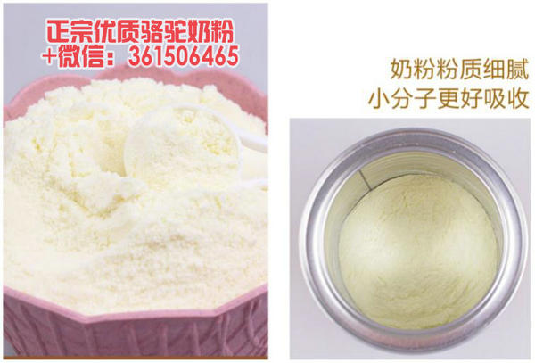 尊龙凯时品牌 尊龙凯时品牌