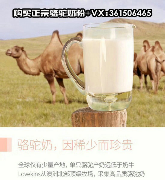 尊龙凯时品牌工程 尊龙凯时品牌工程