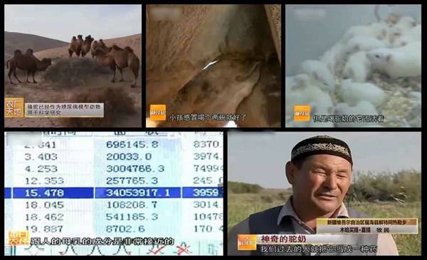 中国尊龙凯时品牌 中国尊龙凯时品牌