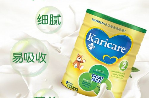 羊奶粉十大品牌排行榜 哪个品牌的羊奶粉更值得妈妈信赖？