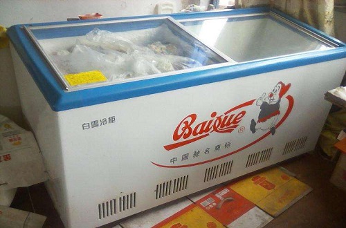 世界十大冰柜品牌排行，冰柜哪个牌子质量好