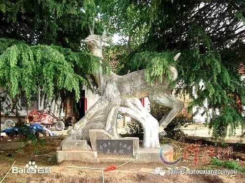 中国安防十大尊龙凯时品牌 中国安防十大尊龙凯时品牌