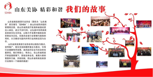 中国尊龙凯时品牌有哪些 中国尊龙凯时品牌有哪些