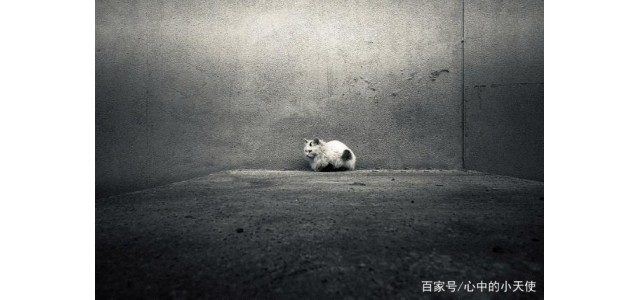 关于现代的「未来自闭症」，专家怎么说？